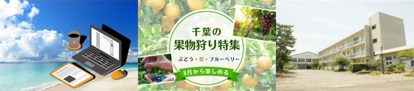 プログラムとソリューションのイメージ画像