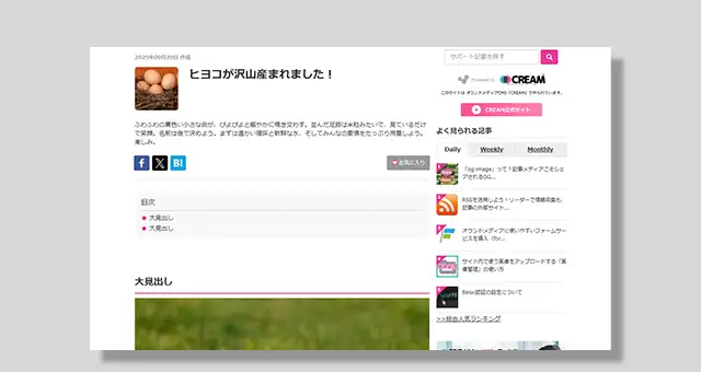 記事プレビュー画面のキャプチャ